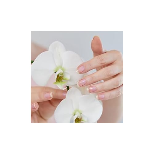 Perfect Formula Repair Coat - Nail Strengthener, Keratin Treatment, Nail Repair for Damaged Nails - Made In The USA .60 fl oz.