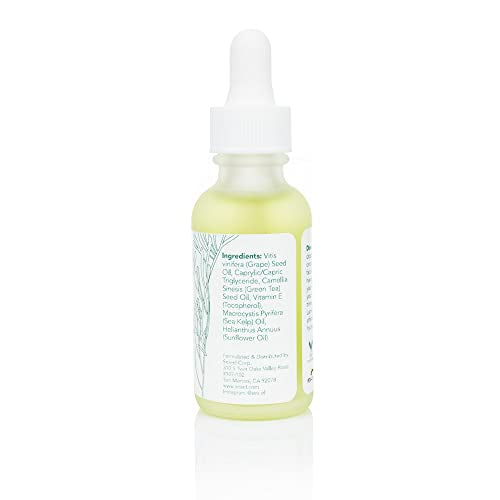 Sea-El Matcha Face Oil Skincare - Hydrating Glow Green Tea & Sea Kelp Facial Oil Blend - Calming & Deeply Penetrating Antioxidant-Rich Moisturizer for Women & Men, Vegan, All Skin Types - 1 Fl Oz