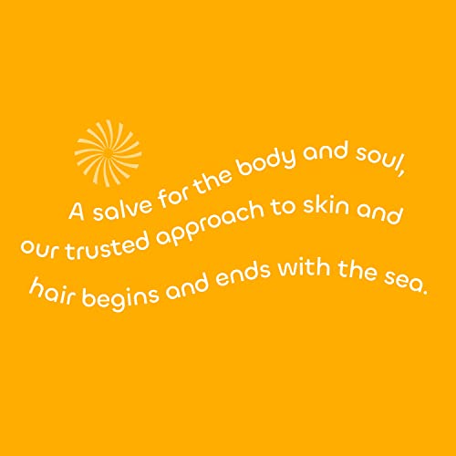 Seaweed Bath Co. Smooth Conditioner, Citrus Vanilla Scent, 12 Ounce, Sustainably Harvested Seaweed, Borage and Broccoli Seed Oils, For Curly and Frizzy Fine Hair