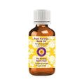 Deve Herbes Karanja Seed Oil (Pongamia pinnata) | Cold Pressed | Pure | Natural | Undiluted | For Diluting Essential oils | For Skin & Massage | Non-Sticky| Lightweight| Men & Women | 100ml (3.38 oz)