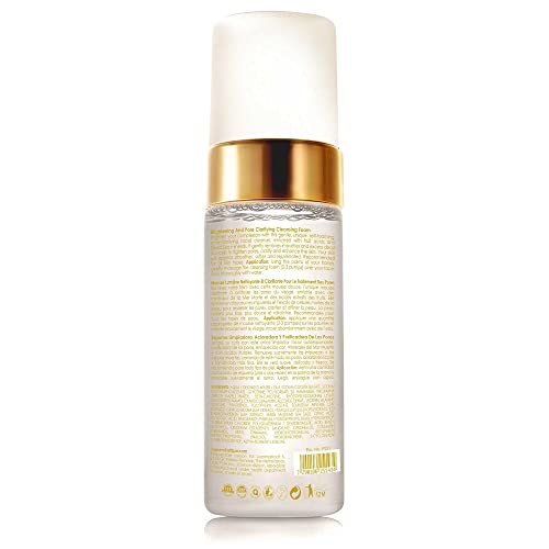 Premier Dead Sea Supreme Brightening & Pore Clarifying Cleansing Foam 5.1 Fl oz