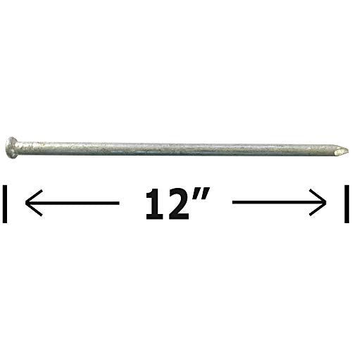 120d - Galvanized Spike nail - Outdoor rust resistant nail, great for landscaping ties (10)