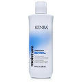 Moisture Conditioner | Boost Hydration | Improve Manageability and Shine | Nourish Dry Hair | Color Safe | Efforless Detangling | Normal to Dry Hair