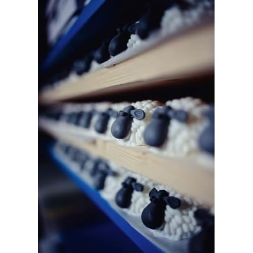 Curragh Sheep Handmade Irish Soap Natural Moisturizing Ingredients Cute Quirky Fun Irish Gift, Made in Ireland, Gift-boxed