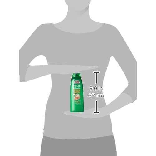 Garnier Hair Care Fructis Brazilian Smooth Shampoo, 13 Fluid Ounce