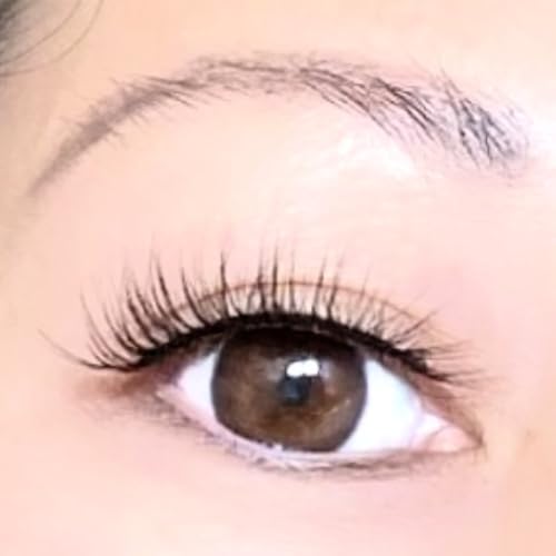 Lashes Faux Mink Short 12mm 10 Pairs (Everyday 222)