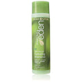 Creme of Nature Straight from Eden Plant Derived Hydrating Shampoo, 10 Ounce