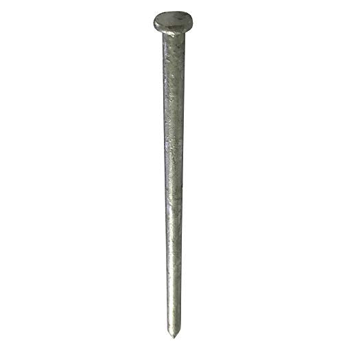 120d - Galvanized Spike nail - Outdoor rust resistant nail, great for landscaping ties (10)