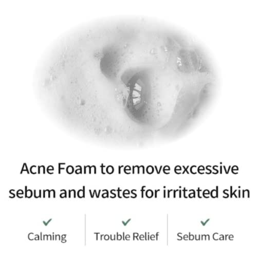 FARMSTAY Tea Tree Biome Low pH Calming Cleanser - Daily Facial Cleanser for Sensitive Skin, Korean Skin Care, Hydrating and Soothing Face skin, Acne Free Cleansing Foam, Gentle Facial Cleanser, for