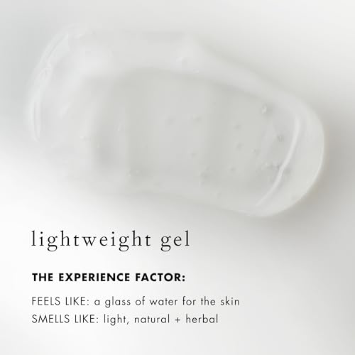 Bioelements Beyond Hydration - 2.5 fl oz - Non-Greasy Gel Facial Moisturizer for Oily Skin - Includes Vitamin B5 & Essential Oils - Vegan, Gluten Free - Never Tested on Animals