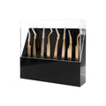 Tweezers Storage Box 8 Holes Holder Lash Tweezers Storage for Eyelash Extensions Eyelash Professional(Black,Only the Box)