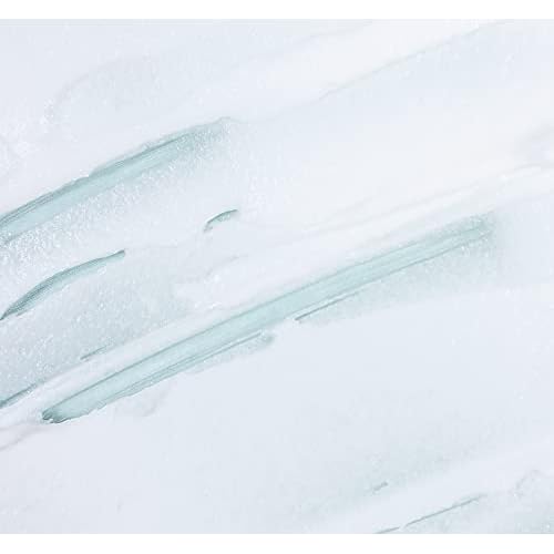 FarmHouse Fresh Face Exfoliator, Plant-Based Face Scrub, Gentle Exfoliating Face Polish With Cucumber Extract. Timescape Micromazing Facial Polish. 6 Oz