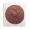 TataTattoos Temporary Realistic Nipple/Areola Tattoos ? Non-Surgical for Mastectomy Recovery ? for Post Breast Cancer Surgery (Olive, Medium (Pack of 20))