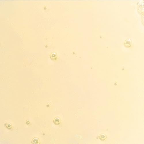 Derma E Styling Hair Repair Oil Oil Unisex 1 oz