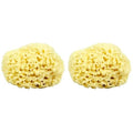 Sea Wool Sponge - All Natural Honeycomb Renewable Sea Sponge, Hand Cut, Jumbo, Approx. 7 Inches (Pack of 2)