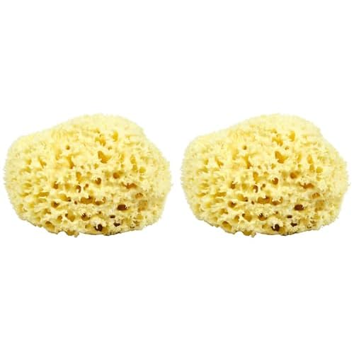 Sea Wool Sponge - All Natural Honeycomb Renewable Sea Sponge, Hand Cut, Jumbo, Approx. 7 Inches (Pack of 2)