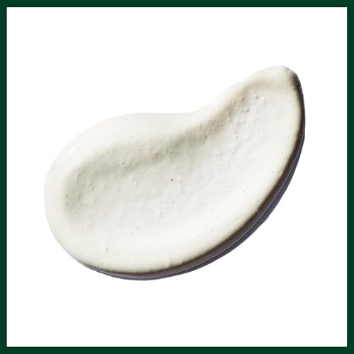 Aveda Botanical Kinetics Radiant Skin Refiner | Clay-Based Facial Scrub | Exfoliates & Energizes Skin | with Tourmaline, 3.4 Fl Oz