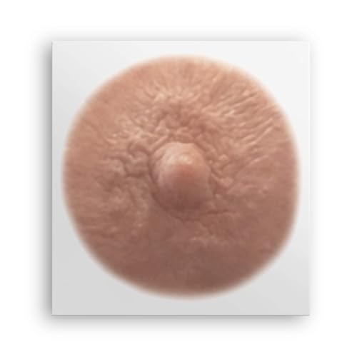 TataTattoos Temporary Realistic Nipple/Areola Tattoos ? Non-Surgical for Mastectomy Recovery ? for Post Breast Cancer Surgery (Cream, Medium (Pack of 4))