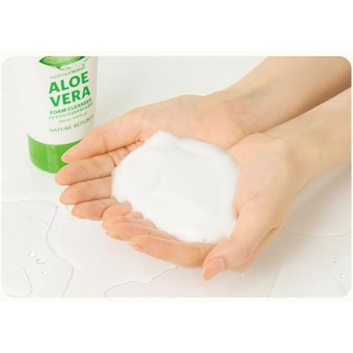 Nature Republic Mild & Moisture Aloe Vera Foam Cleanser (Old Ver.)