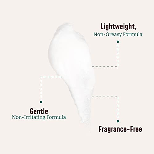 BLOOM IT'S A GREAT SKIN DAY! Men & Women Collagen Cream + AloeVera & Vitamin E Body Lotion & Face Moisturizer | Fragrance Free Skin Firming Lotion | Anti Aging Crepey Skin Tightening Cream | 15 Ounce