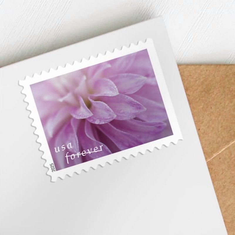 Dahlias USPS Forever Postage Stamp Book of 20 Flowers Wedding Holiday