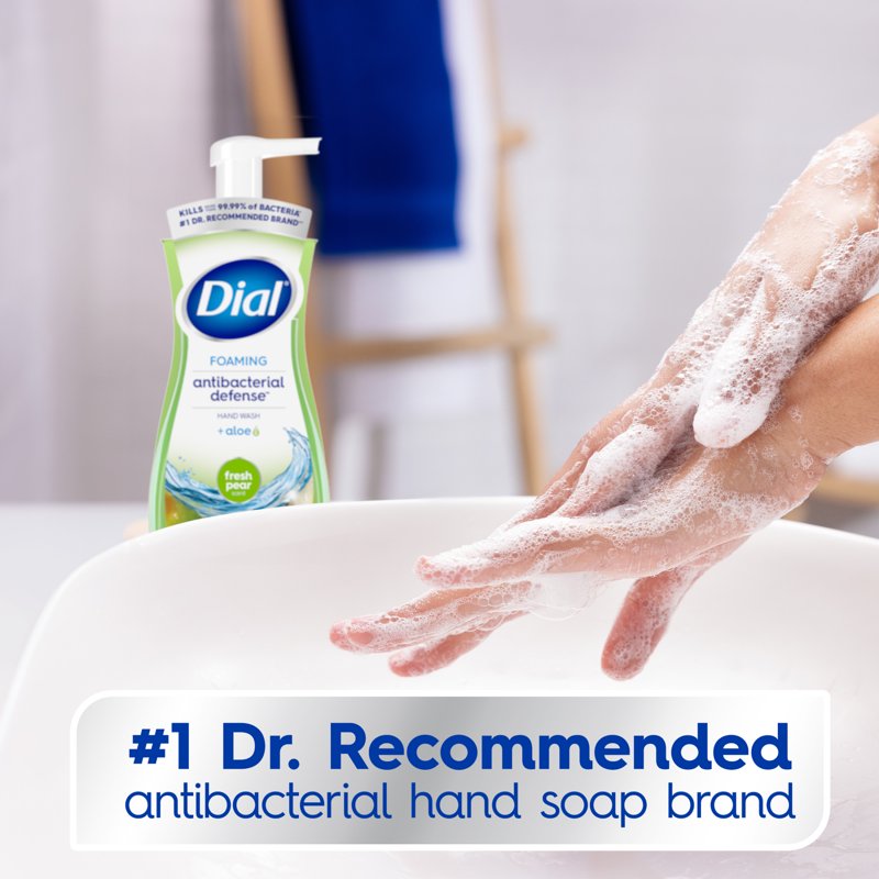 Antibacterial Foaming Hand Soap with Fresh Pear Scent - 6 Pack