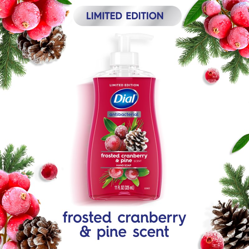 Frosted Cranberry & Pine Liquid Hand Soap - Seasonal Antibacterial 11 oz