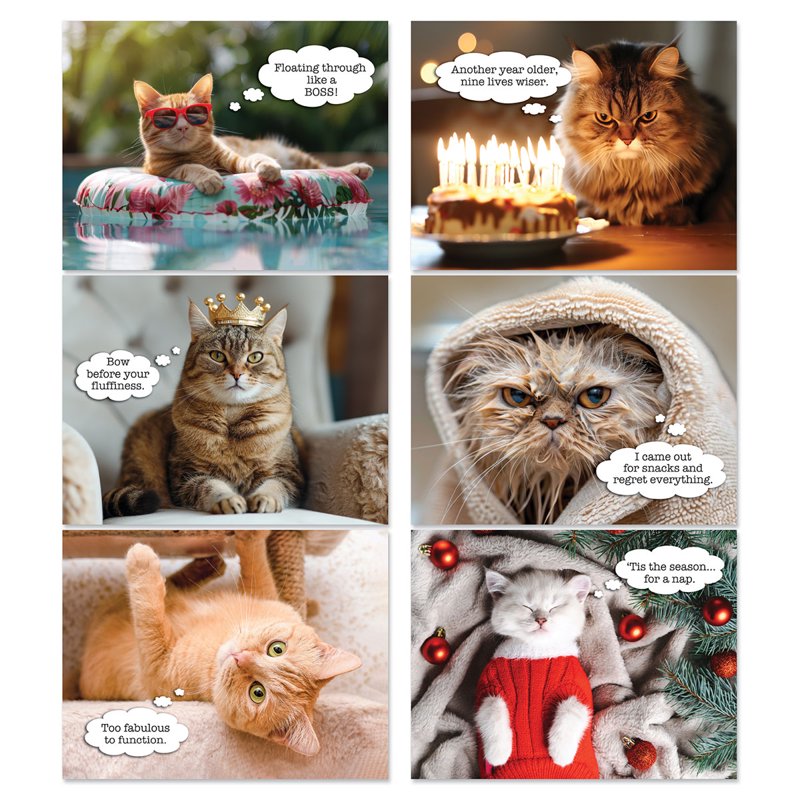 Current 2027 Cat Wall Calendar - Spiral-Bound Monthly Organizer for Kitchen & Office