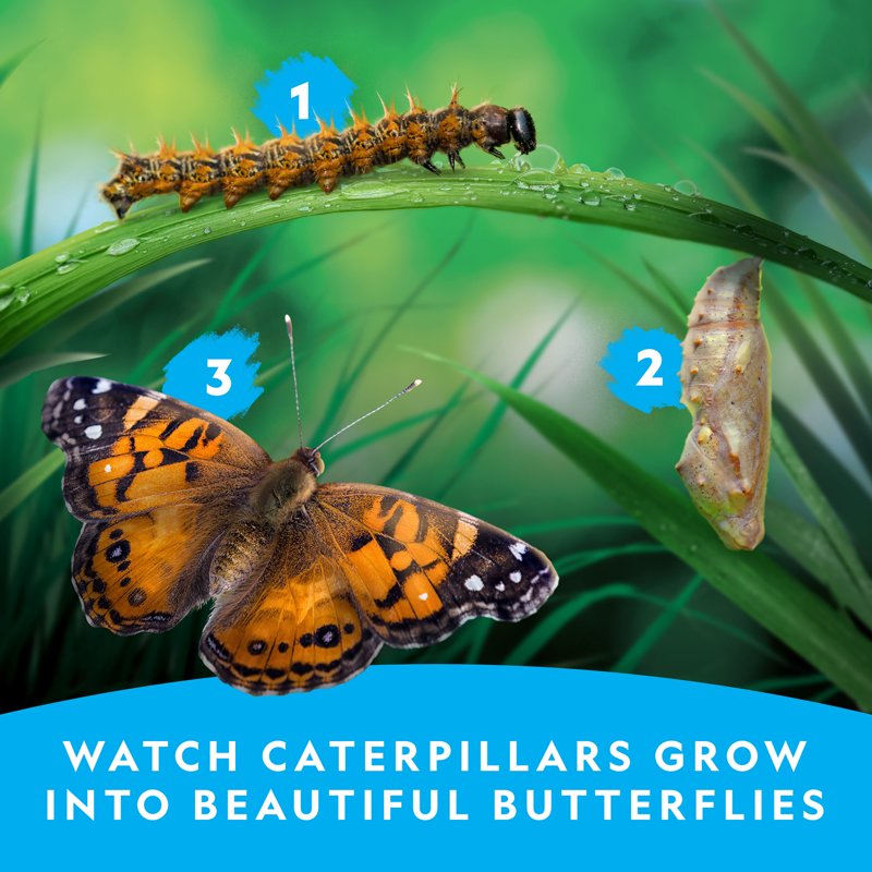 Butterfly Growing Kit with Reusable Habitat & Caterpillar Voucher for Kids 4+