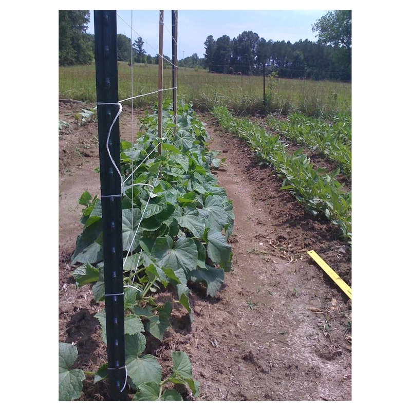 Heavy Duty Garden Twine 6300ft UV Resistant Plant Support Rope for Trellising