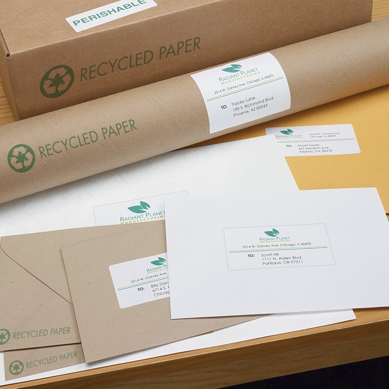 2-Inch x 4-Inch White Shipping Labels 500 Pack - Printable & Durable
