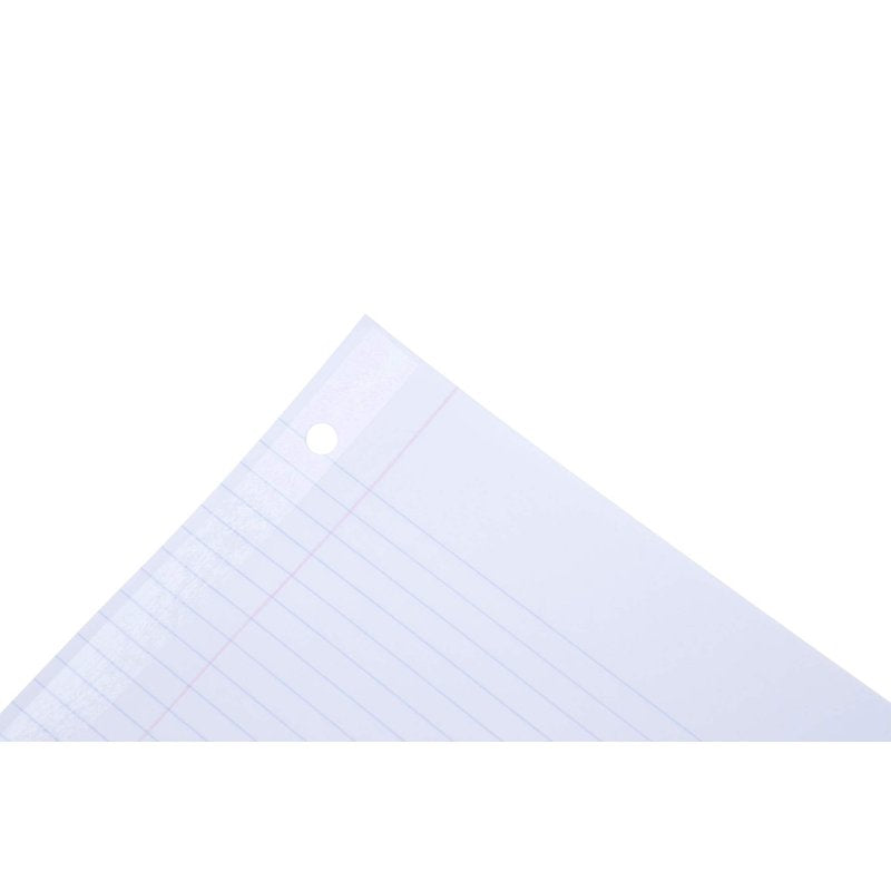 Reinforced Paper for Binders 400 Sheets 3-Hole Punched College & Graph Ruled