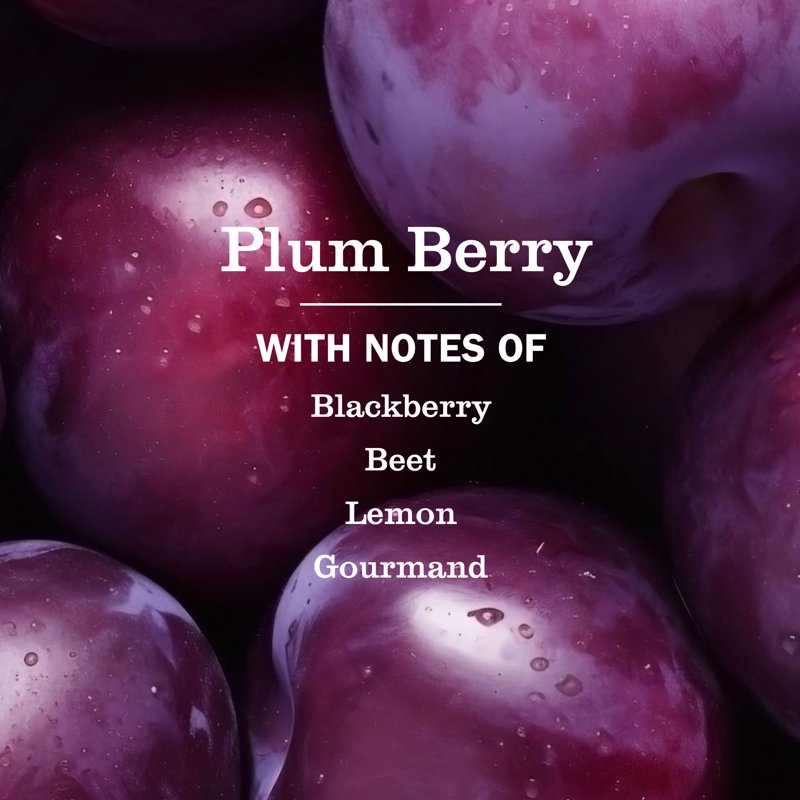 Liquid Hand Soap with Plum Berry Scent - 4 Pack, Moisturizing & Cruelty-Free
