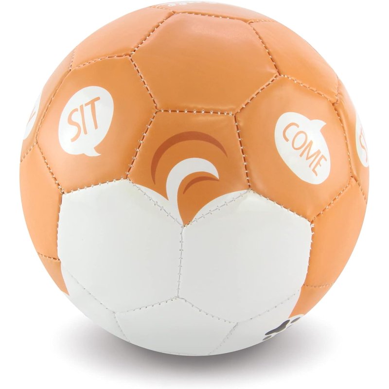 Daball Kid Size 1 Soccer Ball with Pump - Corgi Dog Variation (Ages 1-3)