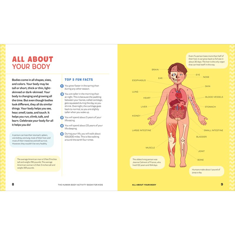 Kids Human Body Activity Book - Fun Anatomy & Science Activities for Ages 4-8