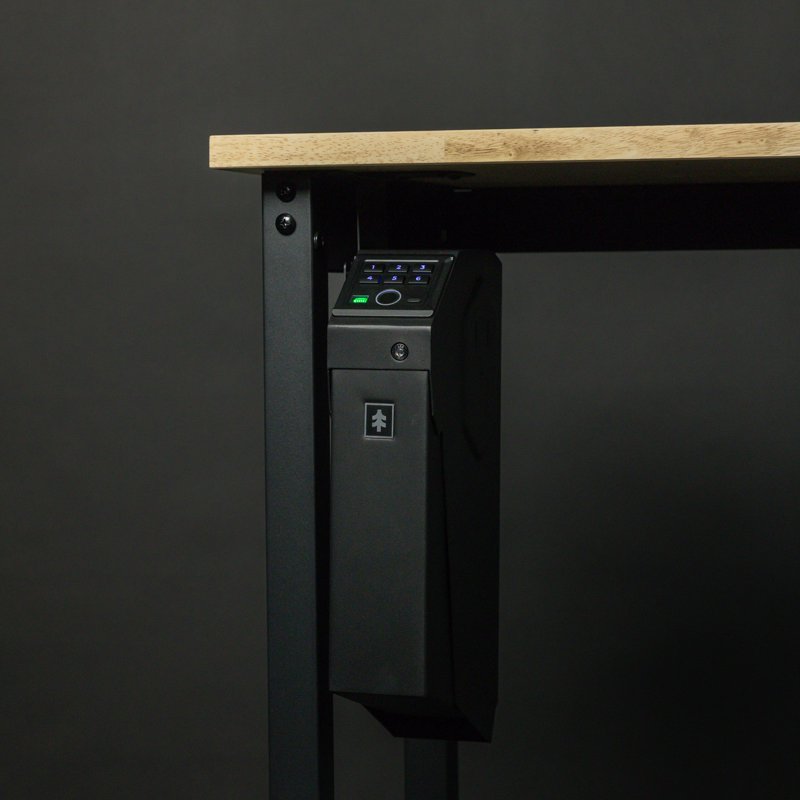 Biometric Gun Safe with Fingerprint & Emergency USB-C Power - Holds 1 Pistol