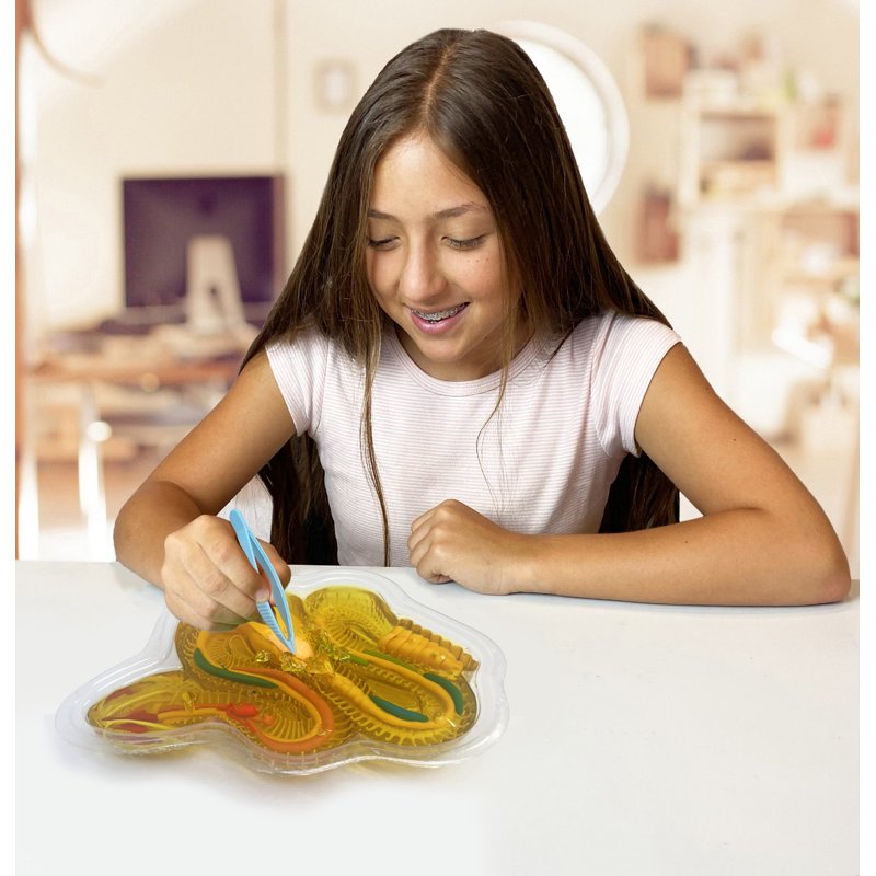 Kids Dissection Kit Rattlesnake Science Set with Realistic Anatomy & Tools