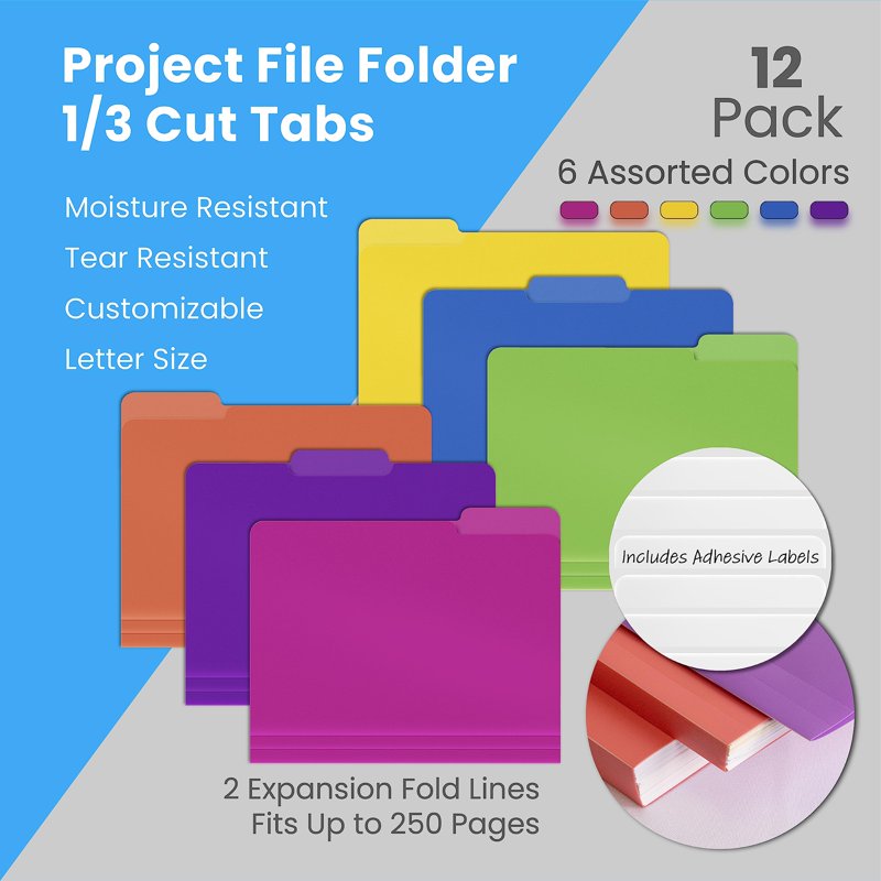 Heavy Duty Poly File Folders with 1/3 Cut Tabs - Assorted Colors, 12 Pack