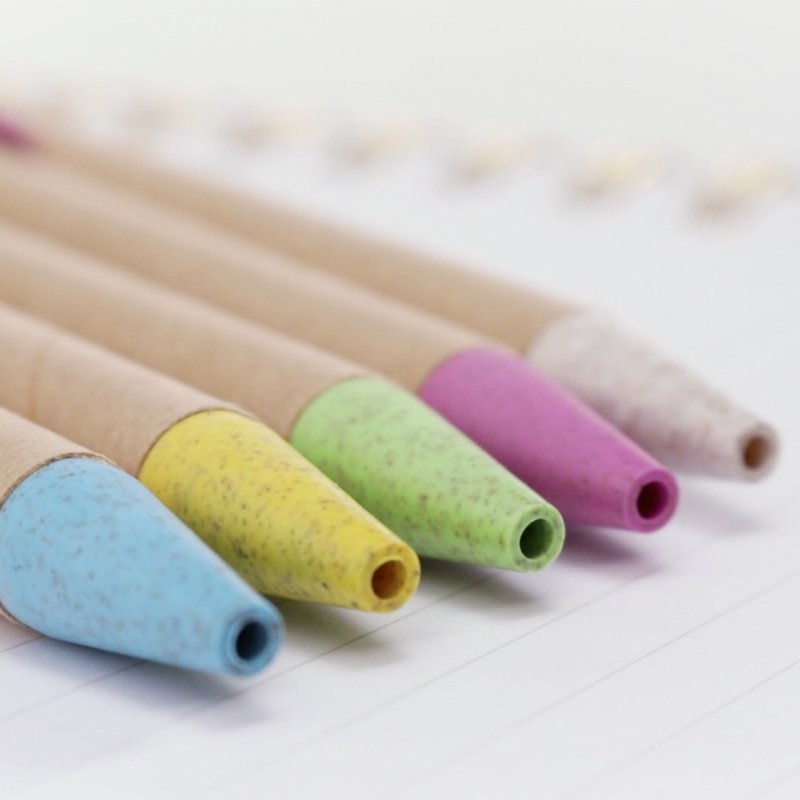 Eco Friendly Ballpoint Pens Bulk Pack - Recyclable & Biodegradable Office Supplies