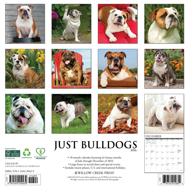 Bulldogs 2026 Wall Calendar - Cute Dog Portraits for Home & Office