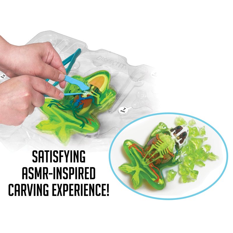 Dissect-It Deluxe Frog Dissection Kit for Kids - Safe STEM Learning Toy