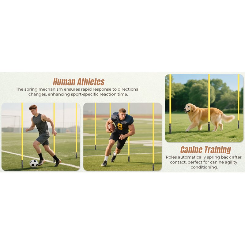 Agility Training Poles Set - 4 Pack 3.3ft High-Visibility PVC Poles with Spike