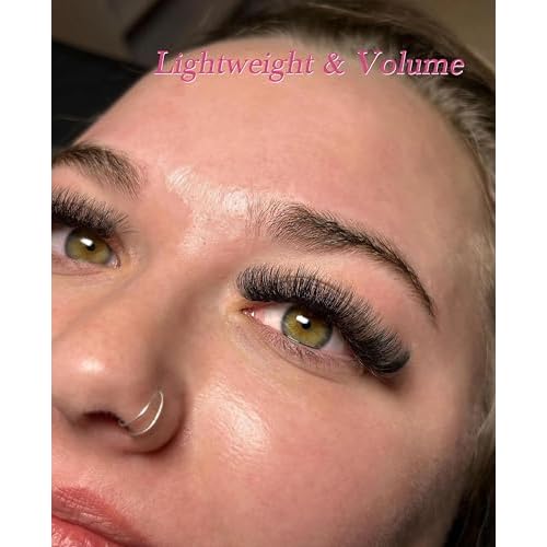 Premade Lash Fans Eyelashes Extension - 500PCS Promades Eyelash Fans Pointy Thin Base 3D/5D/6D/8D/10D/20D Stable C/D Curl Pre Volume Lash Extensions Loose Fans by EMEDA(10D-0.07-D-13mm)