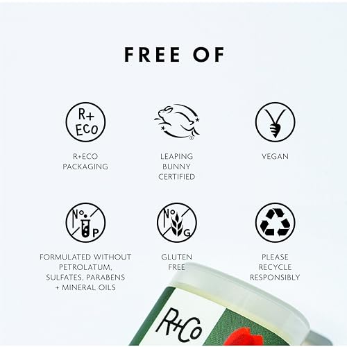 R+Co Dart Hair Wax Stick | Tame Flyaways, Sculpt & Polish | Long-Lasting Texture | Vegan + No Parabens | 0.5 Ounce (Pack of 1)