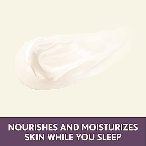 Aveeno Absolutely Ageless Restorative Night Cream Face & Neck Moisturizer with Antioxidant-Rich Blackberry Complex, Vitamin C & E, Hypoallergenic, Non-Greasy & Non-Comedogenic, 1.7 fl. oz