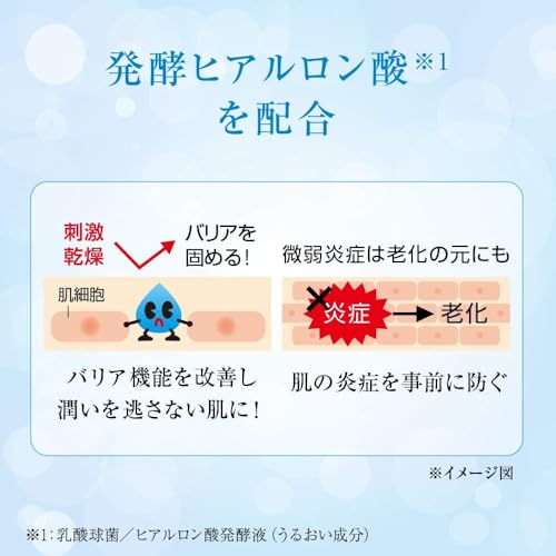 Hada Labo Rohto Goku-Jun New Hyaluronic Cream, 50g