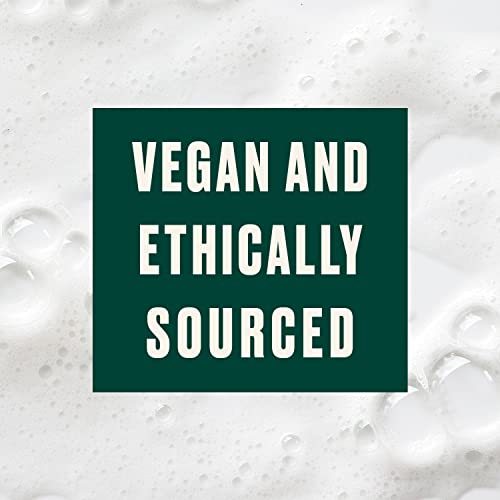 The Body Shop Moringa Shine & Protection Shampoo ? For Dull Hair ? Vegan ? 8.4 oz