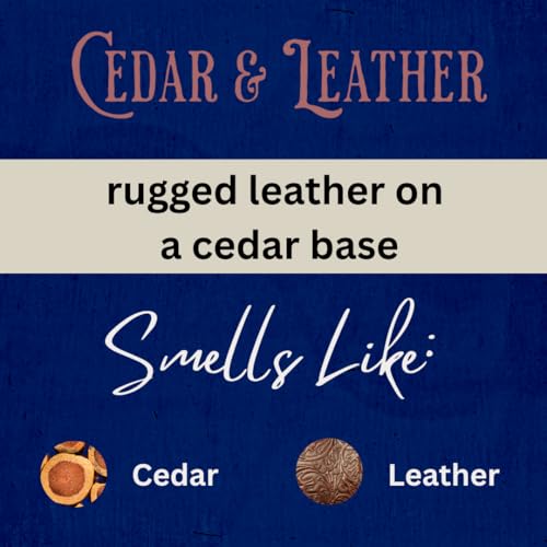Payden's Cobalt Cedar & Leather For Men Scented Luxury Body Lotion with Lanolin and Jojoba Oil, 12 Oz