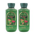 Bath & Body Works Shower Gel, Gift Set of 2, 10oz Each (Watermelon Mojito)