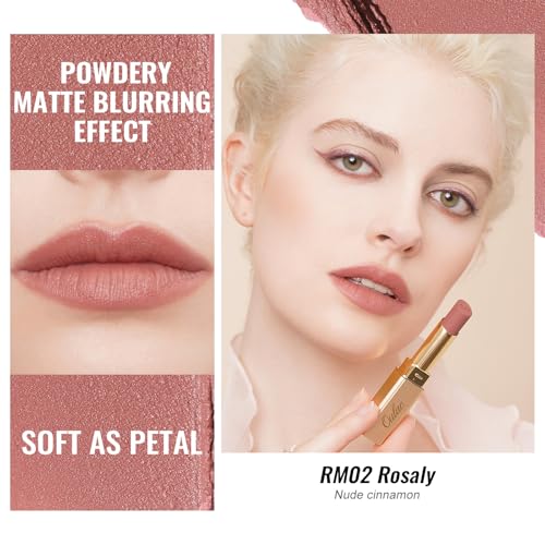 Oulac Pink Nude Matte Lipsticks for Women, Silky Velvet Matte Lipstick, Soft Smooth Texture, High Impact Lip Color, Not Dry Lightweight Formula Infused with Vitamin E, Vegan&Cruelty Free RM02